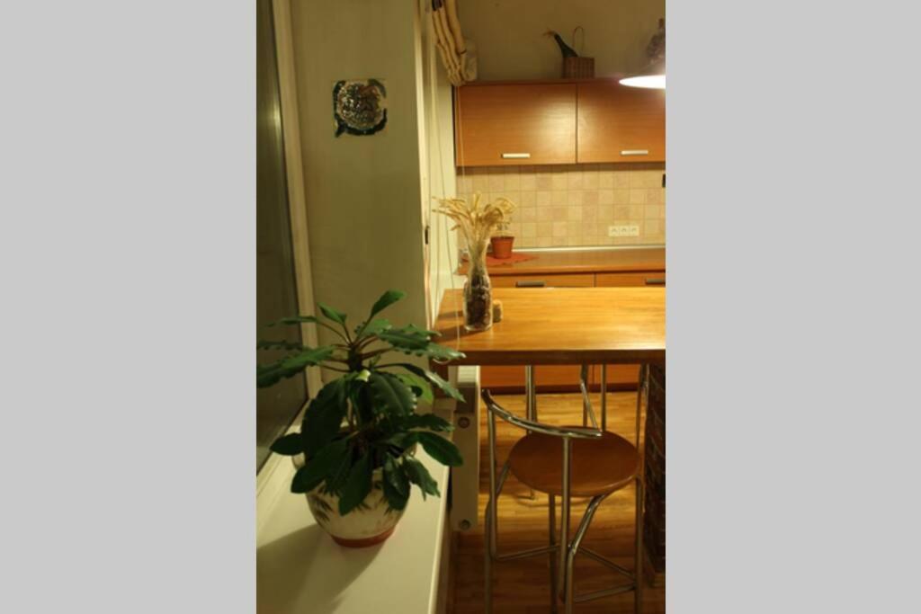 Penthouse Apartment With Great Panoramic City View VNO Dış mekan fotoğraf